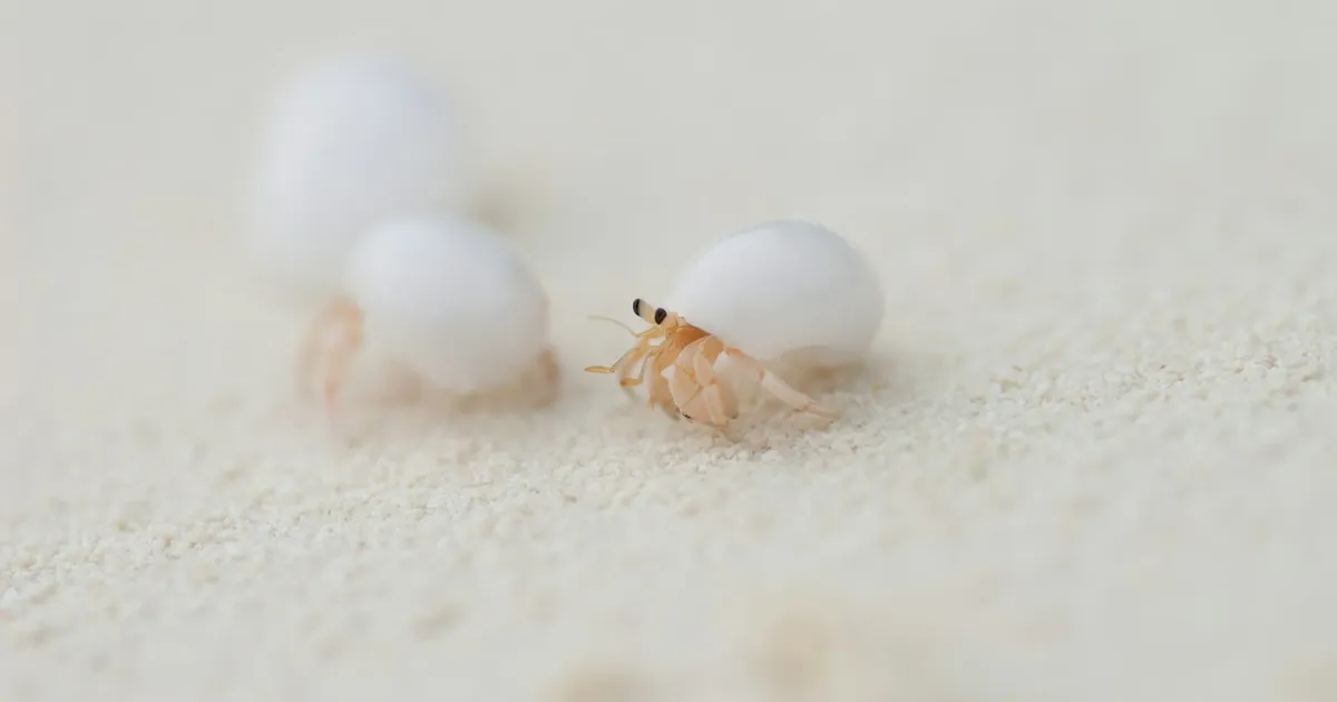 Nature keeps evolving Rustaceans